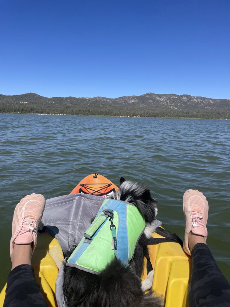 Dog on kayak at Big Bear Lake