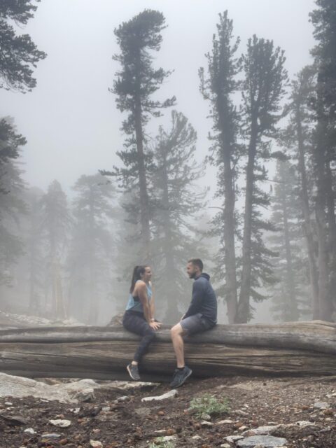 Palm Springs Aerial Tramway hiking trail in the fog