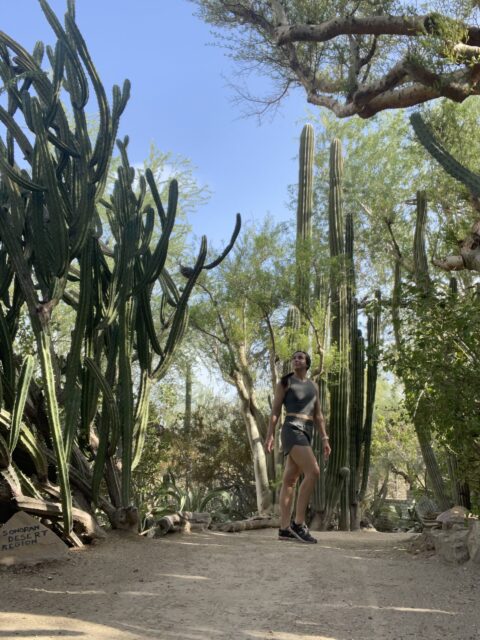 Moorten Botanical Garden