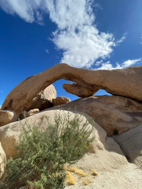 Arch Rock in Joshua Tree National Park