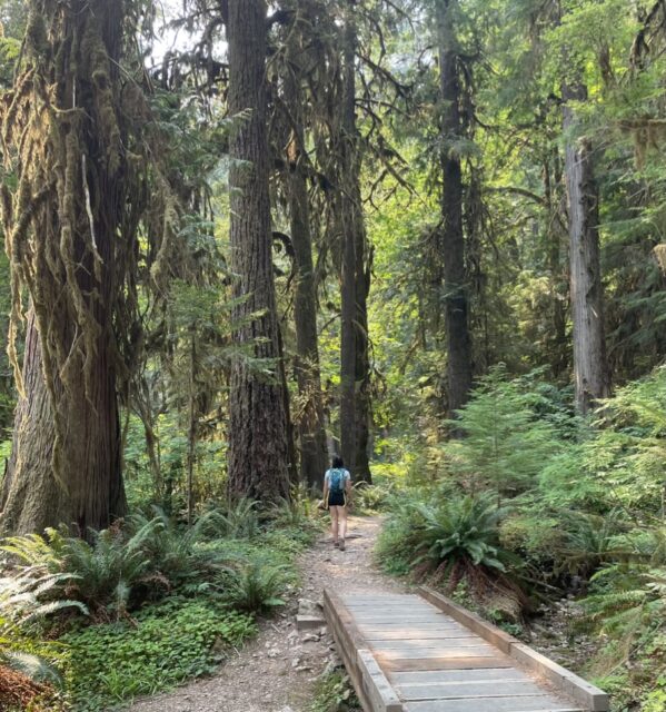 Me hiking in the Umpqua National Forest