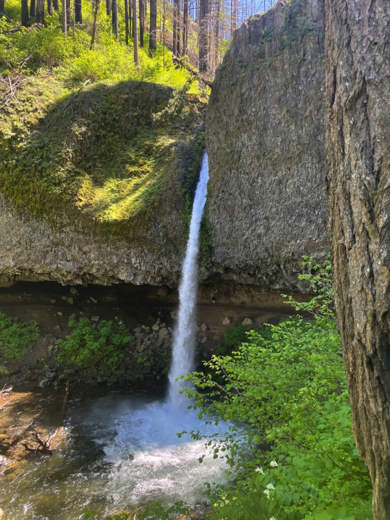 Ponytail Falls