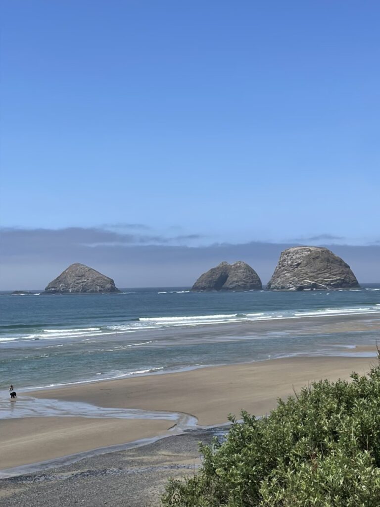The Oregon Coast