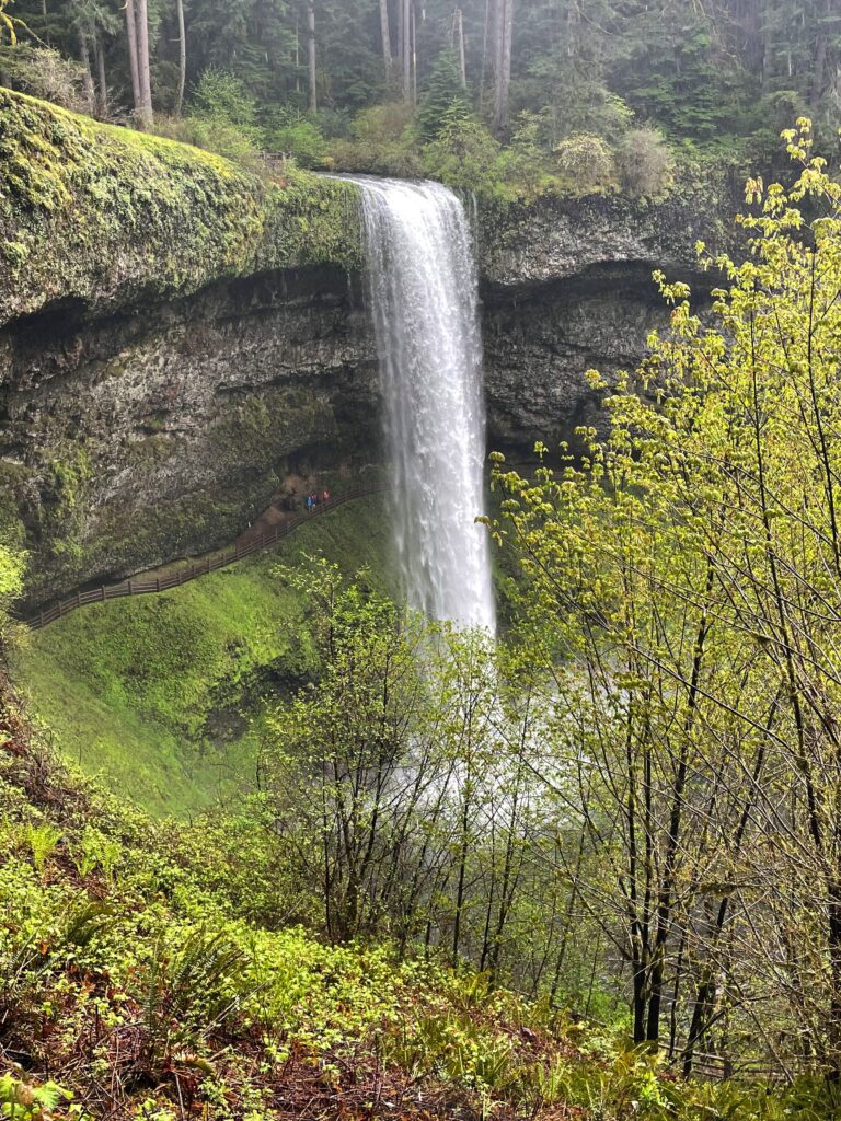 Waterfall on the Trail of 10 Falls