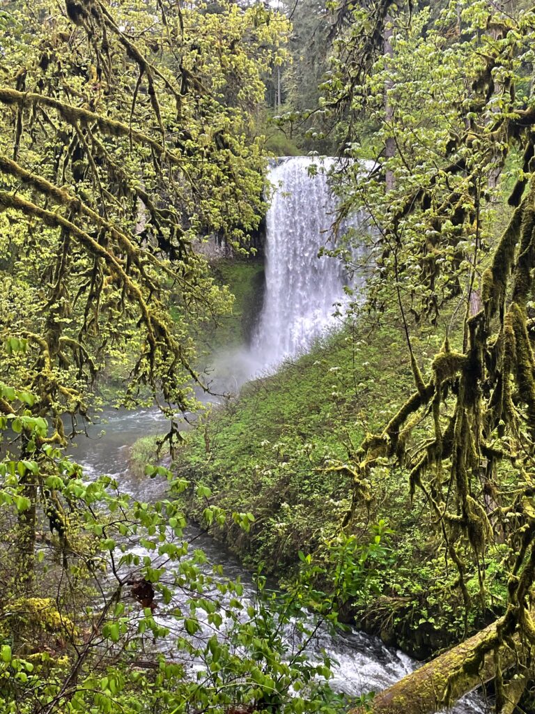 Waterfall on the Trail of 10 Falls